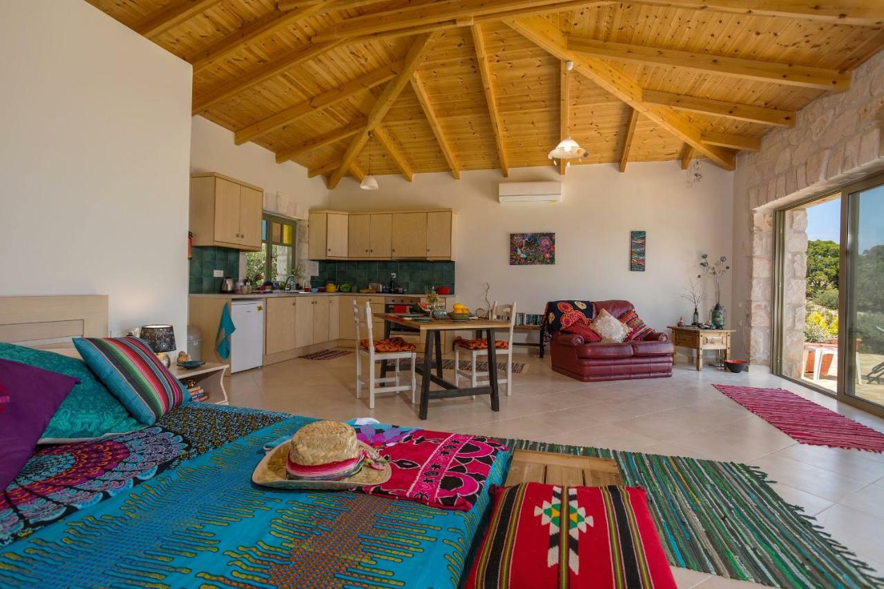 David'S Villas - Private Pool & Scenic Surroundings Vasilikí 外观 照片