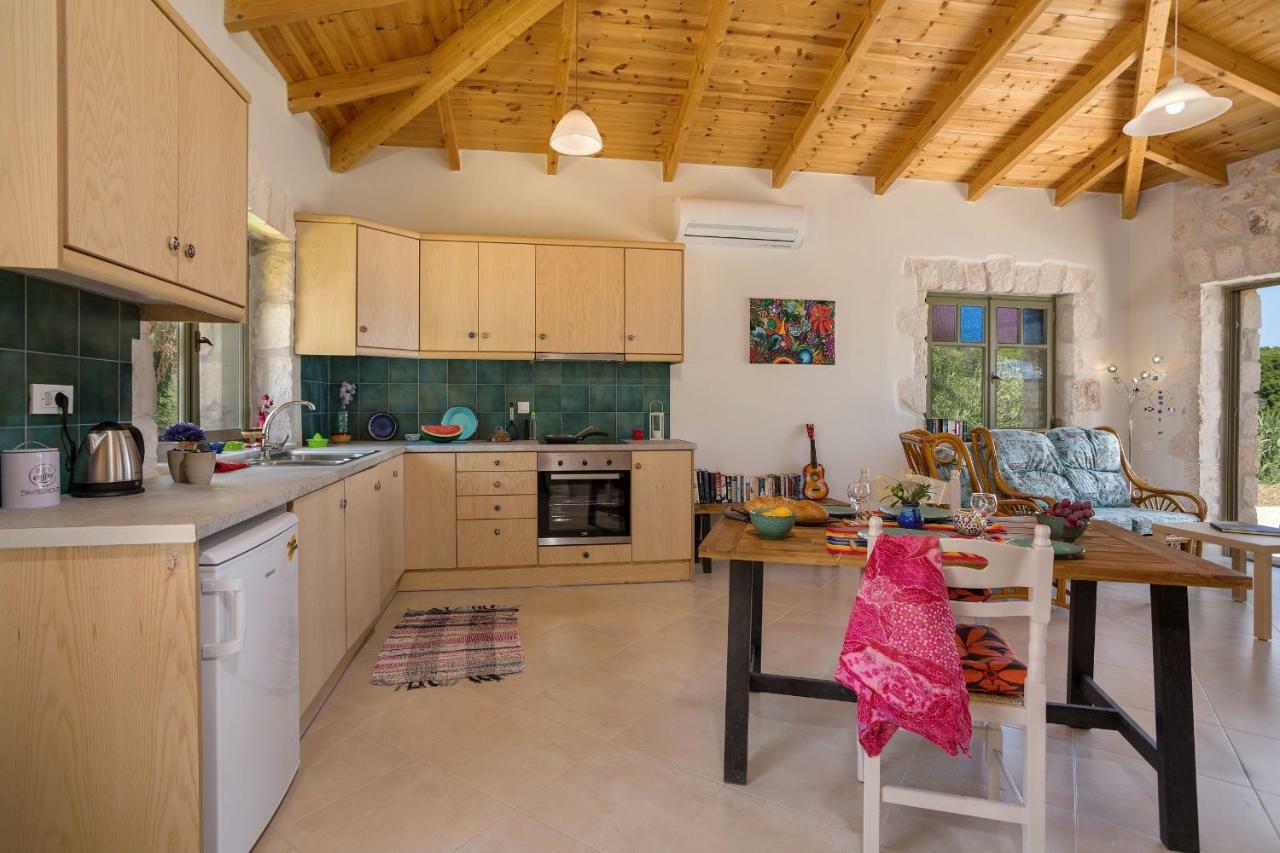 David'S Villas - Private Pool & Scenic Surroundings Vasilikí 外观 照片