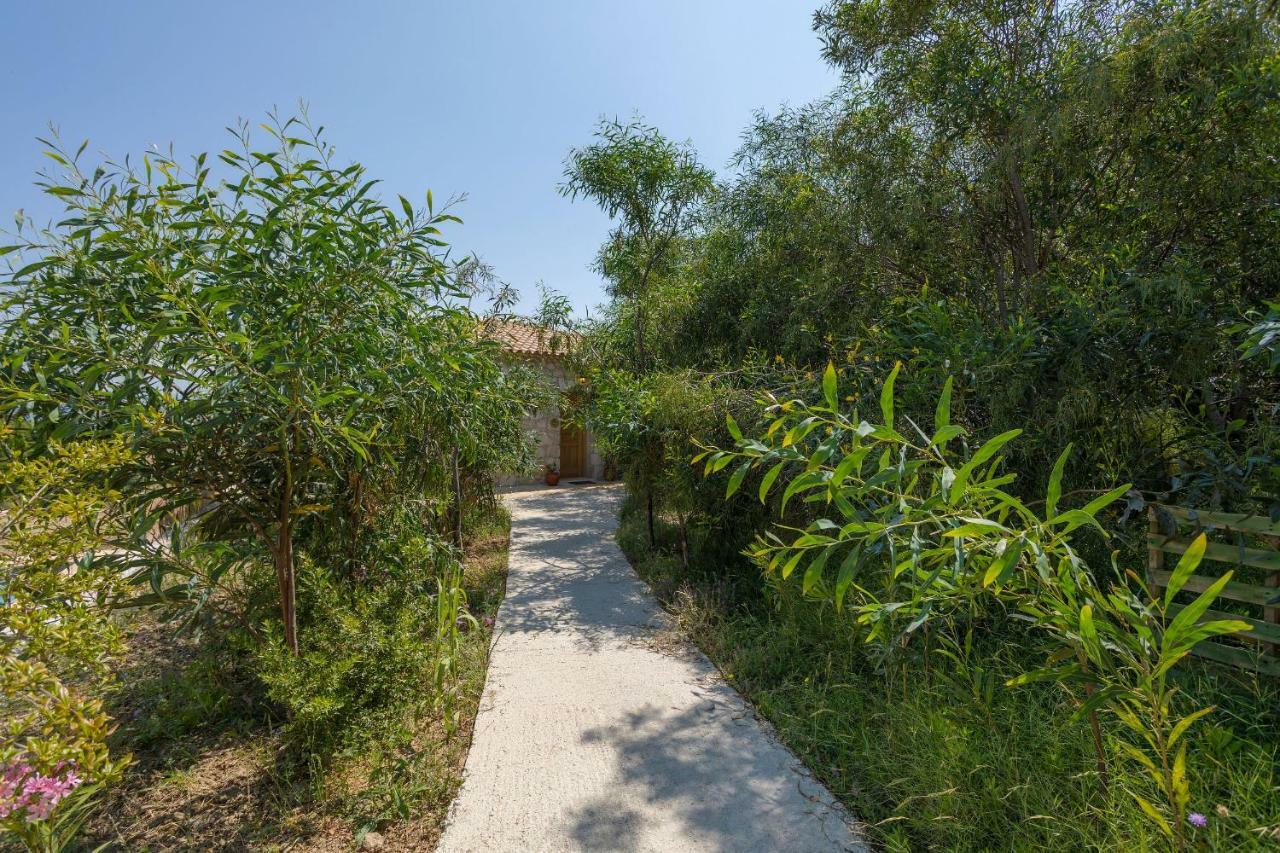 David'S Villas - Private Pool & Scenic Surroundings Vasilikí 外观 照片